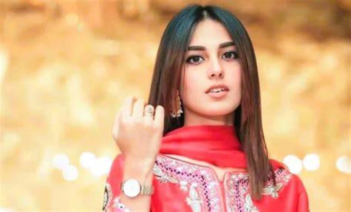 Aziz Ghazal Biography, Age, Height, Wife, Net Worth, Family